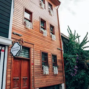 2* Szálloda Gulliver Mansion